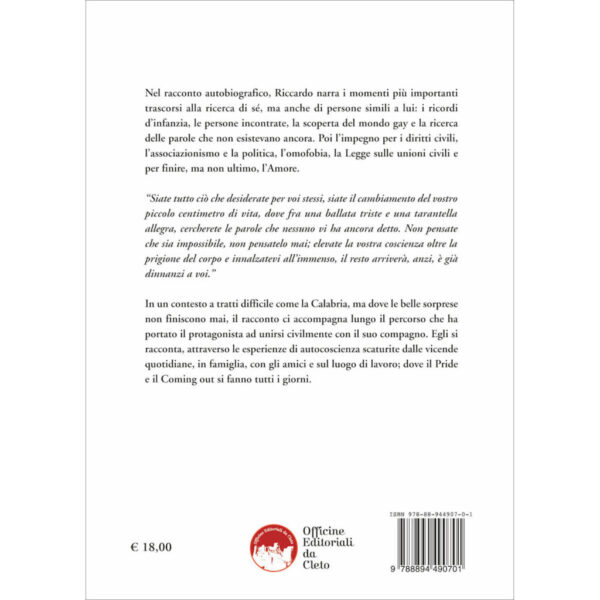 La quarta di copertina del libro Vi dichiaro uniti