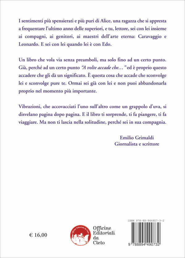 La quarta di copertina del libro di Elena Giordano A volte accade che